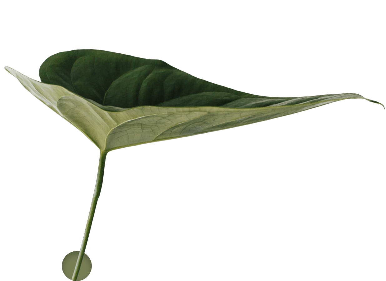 LeihBOX ist nachhaltig